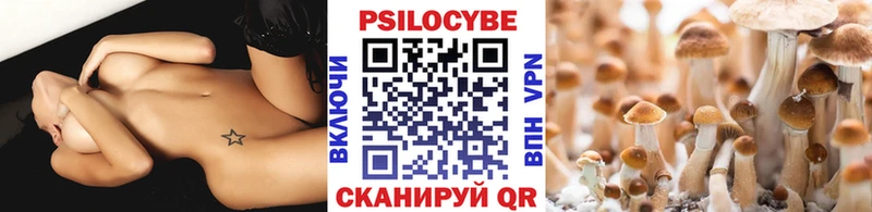 Купить закладки  Киреевск  Псилоцибиновые грибы MAGIC MUSHROOMS 